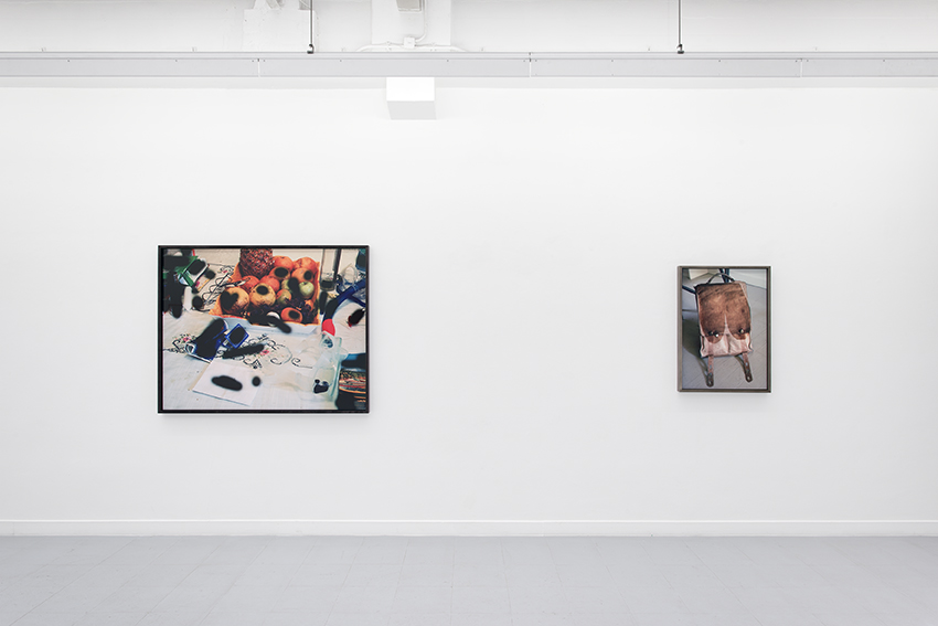 rodolphe janssen | Lucas Blalock – A Farmer's Knowledge