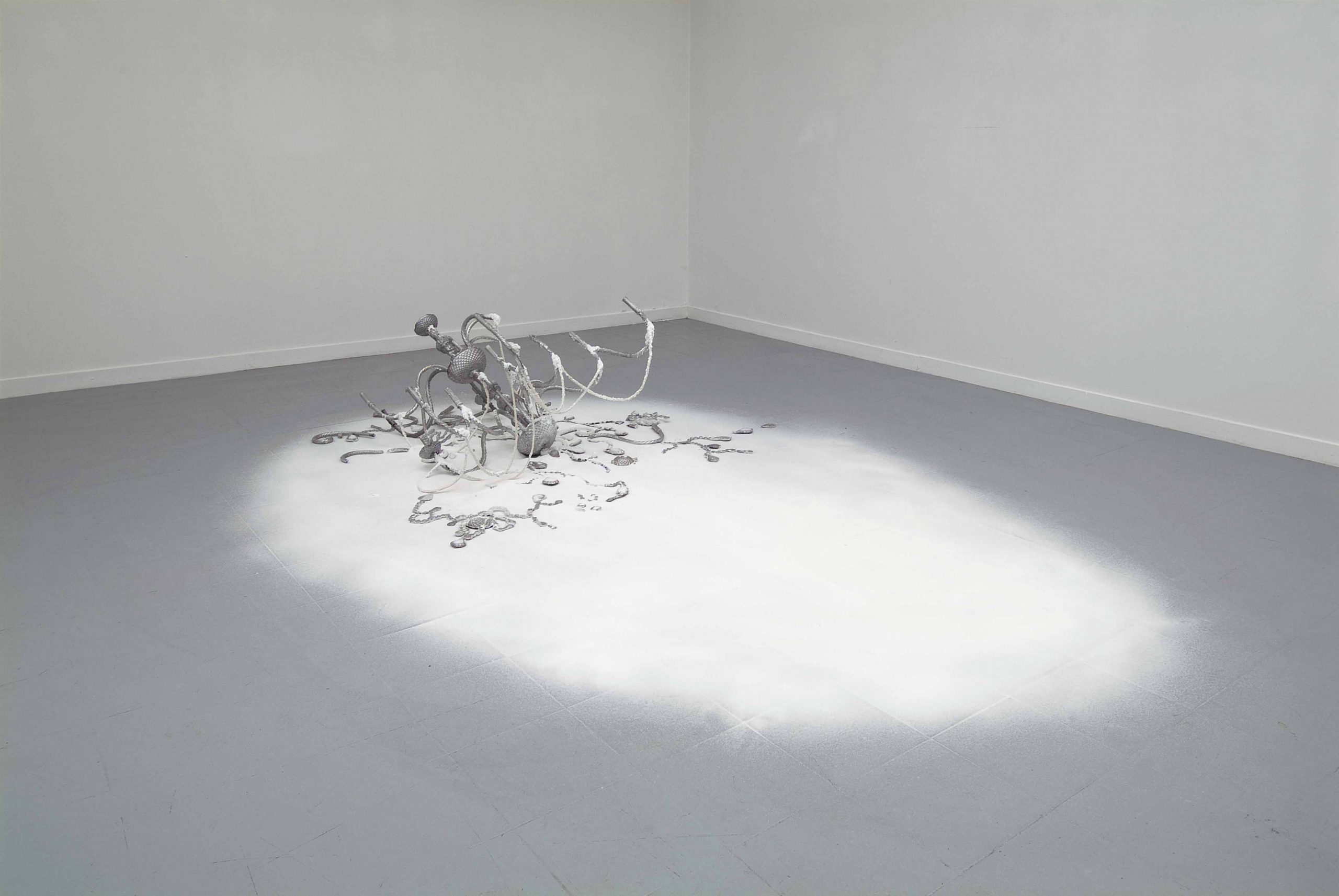 Banks Violette, Exhibition view