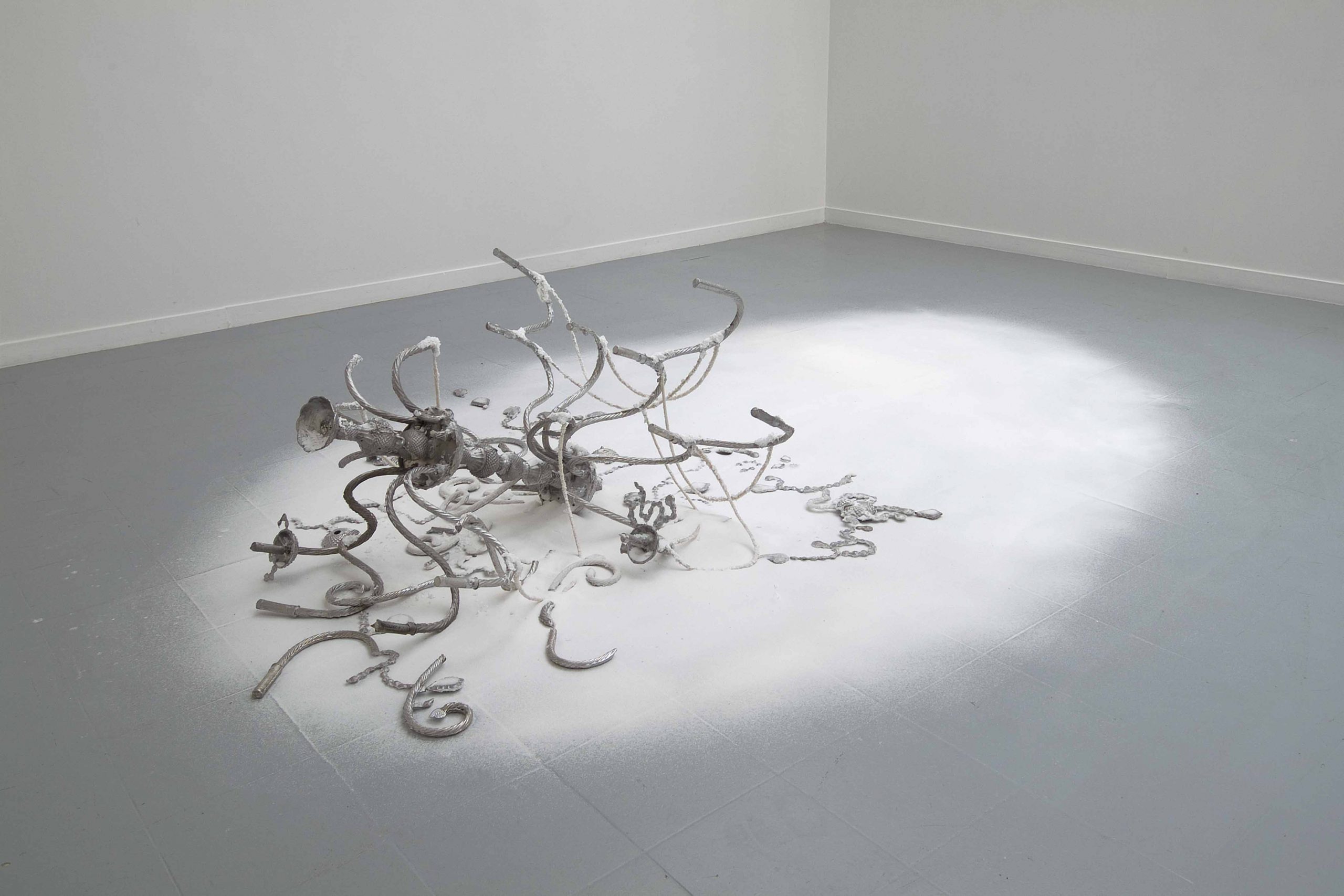 Banks Violette, Exhibition view