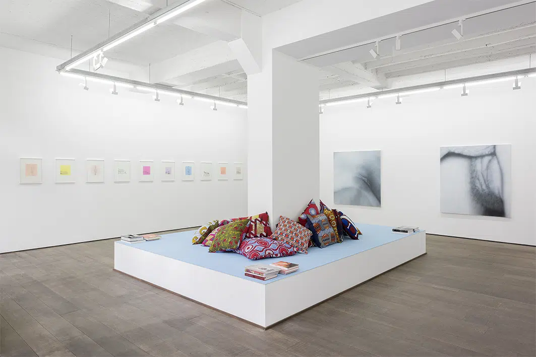 Betty Tompkins, Exhibition view