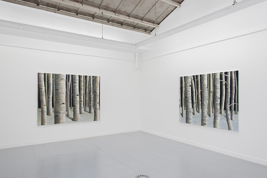 Sean Landers, Exhibition view